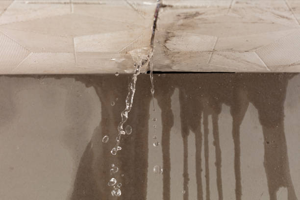 Professional Water Extraction technician working in Flagtown, NJ